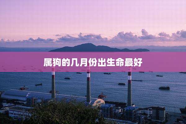 属狗的几月份出生命最好
