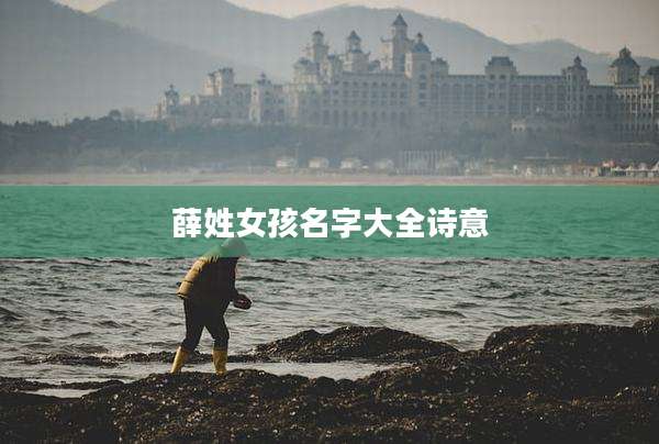 薛姓女孩名字大全诗意