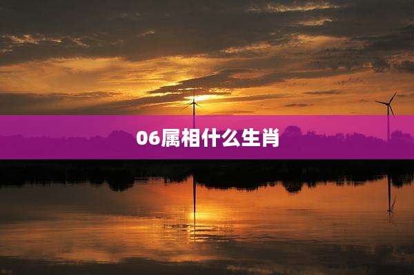 06属相什么生肖