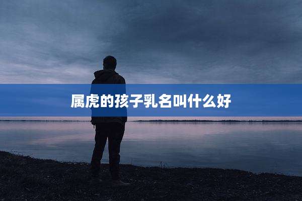 属虎的孩子乳名叫什么好
