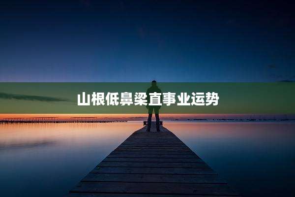 山根低鼻梁直事业运势
