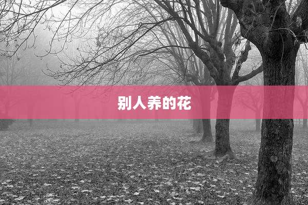 别人养的花