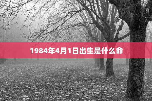1984年4月1日出生是什么命