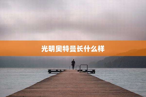 光明奥特曼长什么样