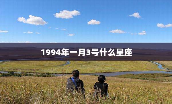 1994年一月3号什么星座