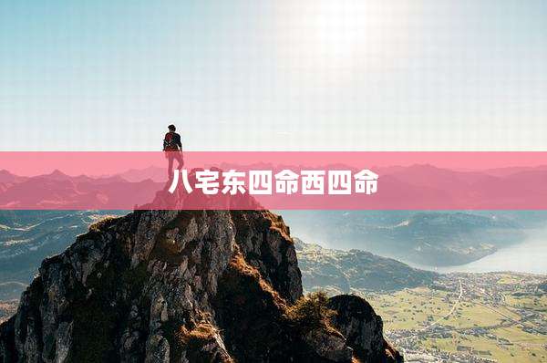 八宅东四命西四命