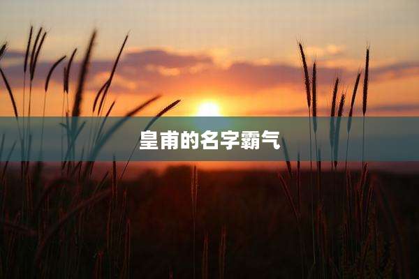 皇甫的名字霸气