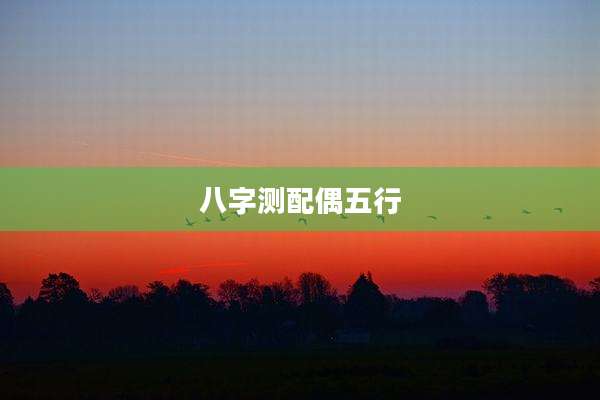 八字测配偶五行