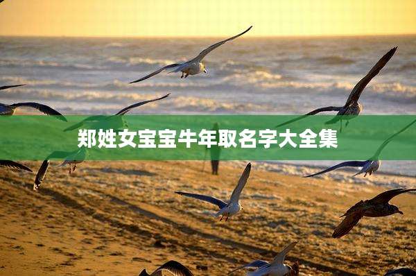 郑姓女宝宝牛年取名字大全集