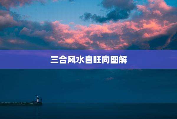 三合风水自旺向图解