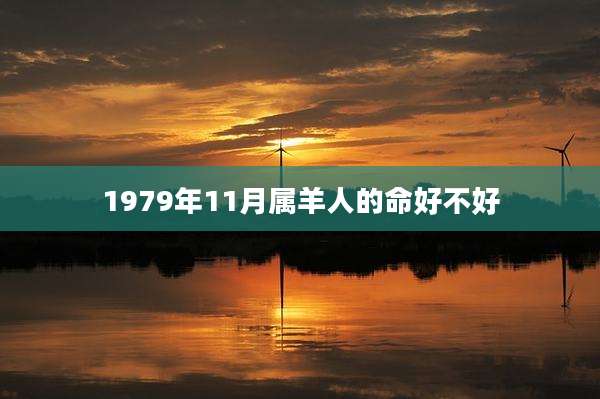 1979年11月属羊人的命好不好