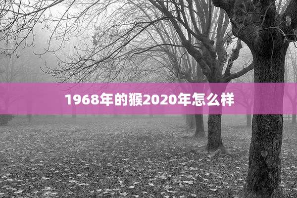 1968年的猴2020年怎么样