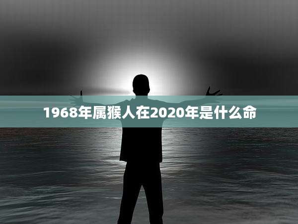 1968年属猴人在2020年是什么命