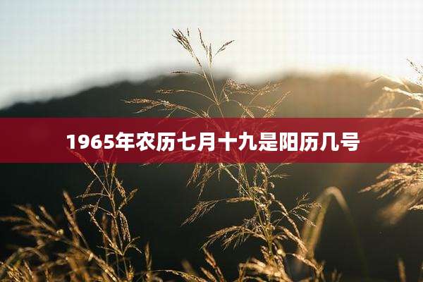1965年农历七月十九是阳历几号
