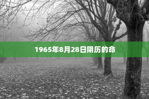 1965年8月28日阴历的命