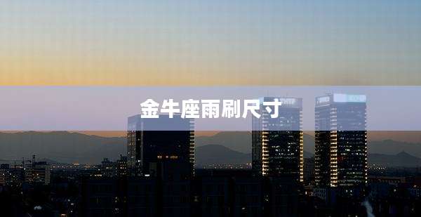 金牛座雨刷尺寸