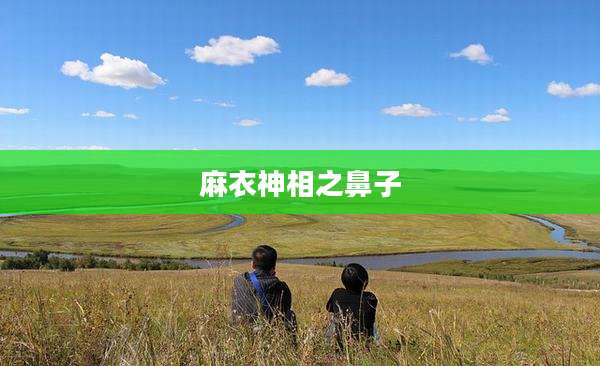 麻衣神相之鼻子