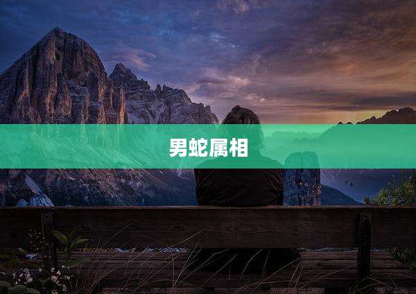 男蛇属相