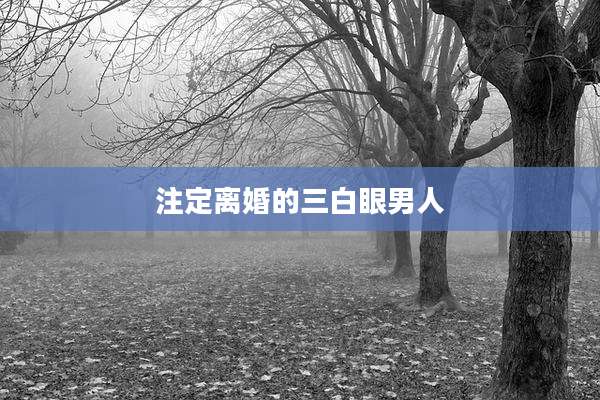 注定离婚的三白眼男人