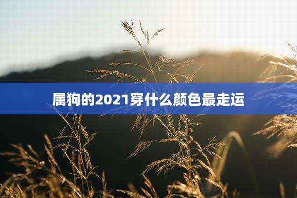 属狗的2021穿什么颜色最走运