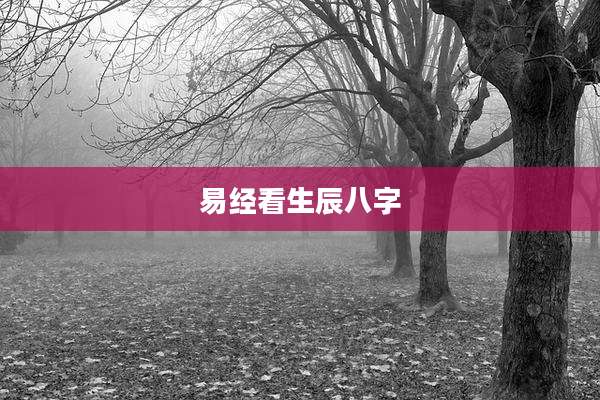 易经看生辰八字