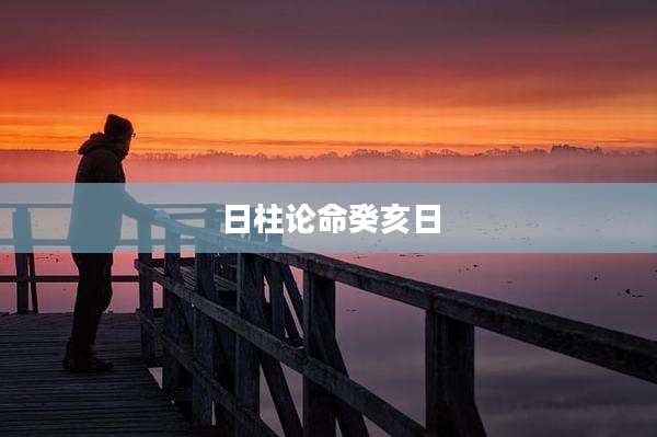 日柱论命癸亥日