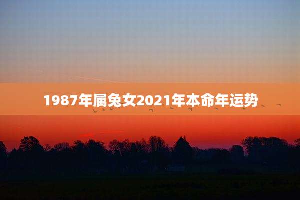 1987年属兔女2021年本命年运势