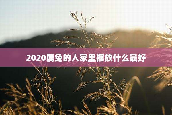 2020属兔的人家里摆放什么最好