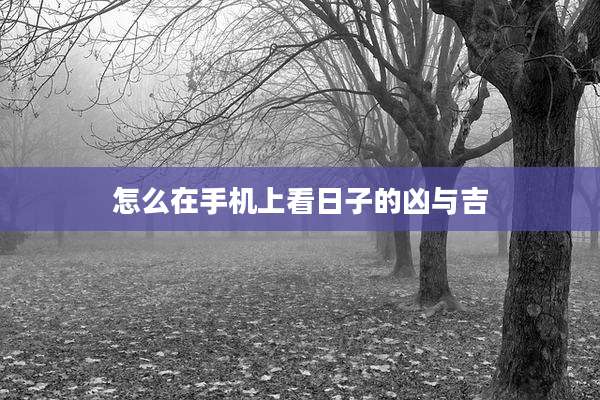 怎么在手机上看日子的凶与吉