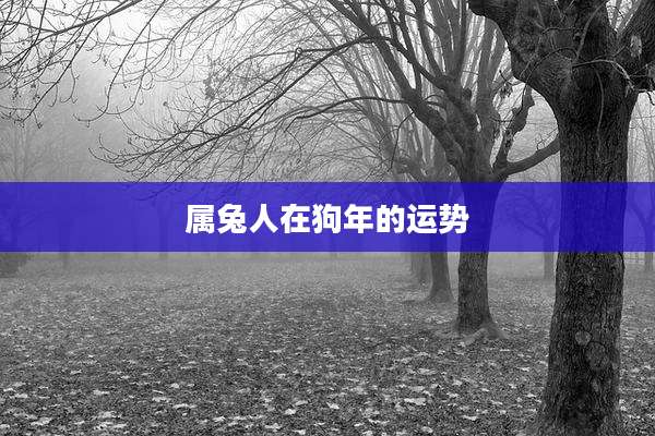 属兔人在狗年的运势