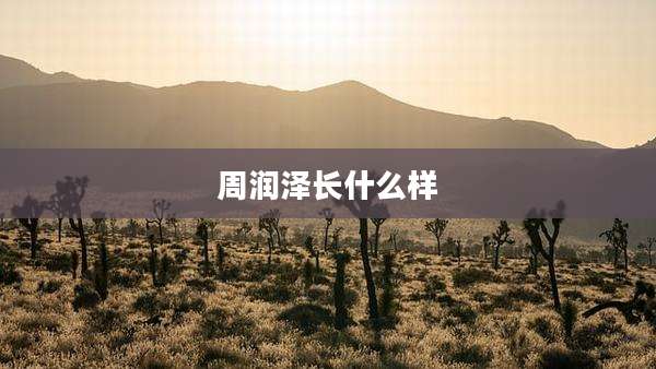 周润泽长什么样
