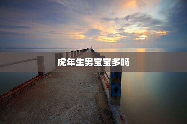 虎年生男宝宝多吗