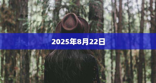 2025年8月22日