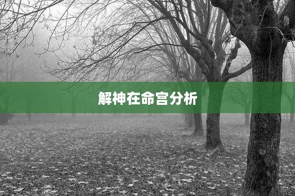 解神在命宫分析
