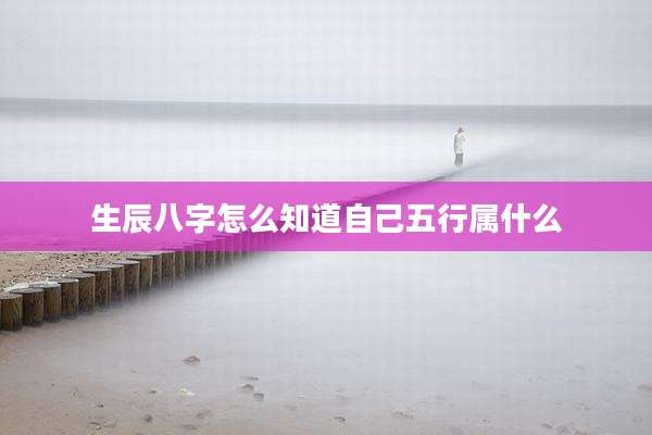 生辰八字怎么知道自己五行属什么