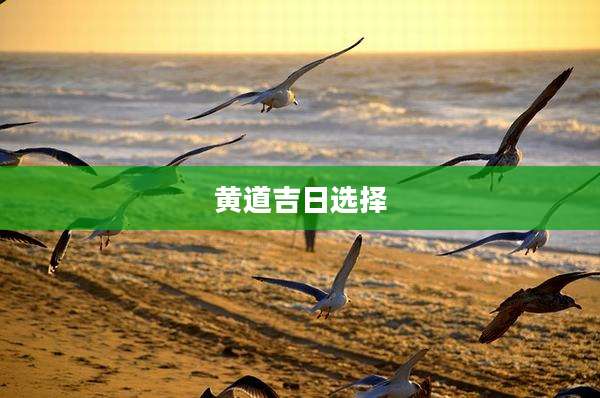 黄道吉日选择