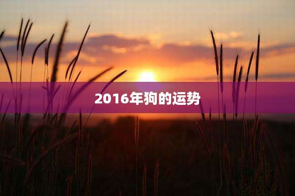 2016年狗的运势