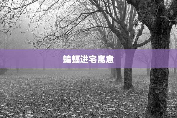 蝙蝠进宅寓意