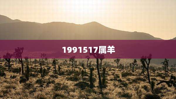 1991517属羊