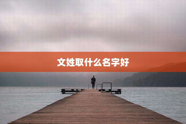 文姓取什么名字好