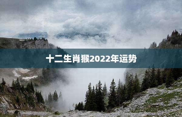 十二生肖猴2022年运势