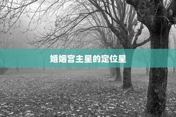 婚姻宫主星的定位星