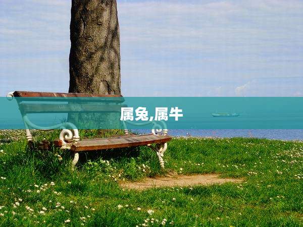 属兔,属牛