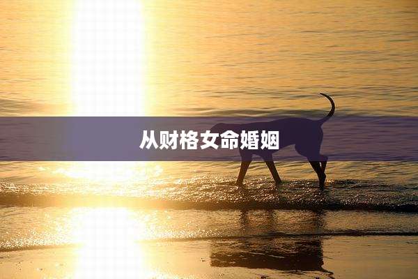 从财格女命婚姻