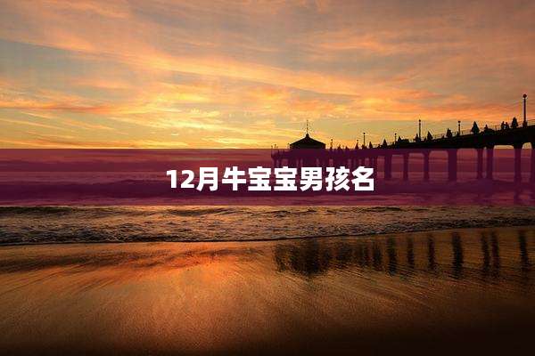 12月牛宝宝男孩名