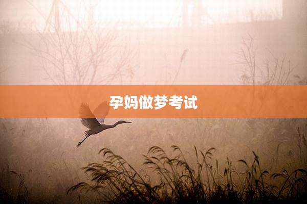 孕妈做梦考试