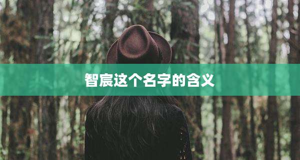 智宸这个名字的含义