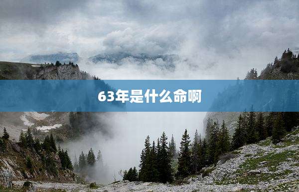 63年是什么命啊