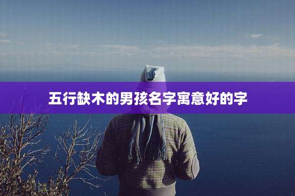 五行缺木的男孩名字寓意好的字