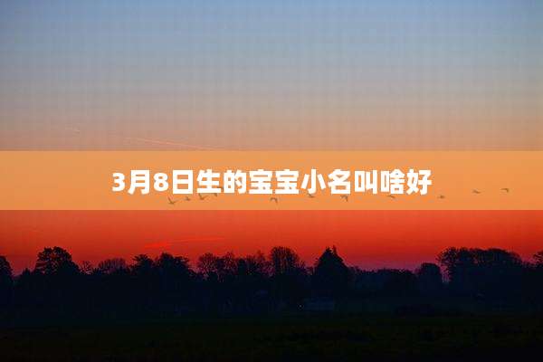 3月8日生的宝宝小名叫啥好